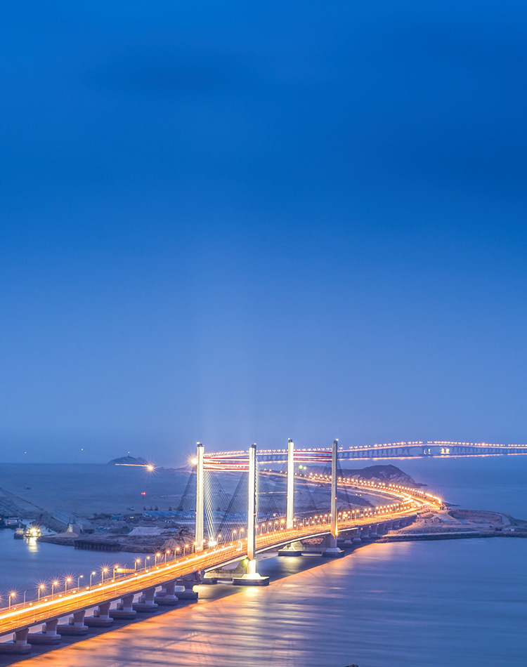 建設(shè)國(guó)際一流的交通與城市規(guī)劃咨詢(xún)機(jī)構(gòu)